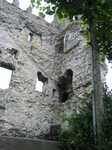 18985 Remains Carlow Castle.jpg